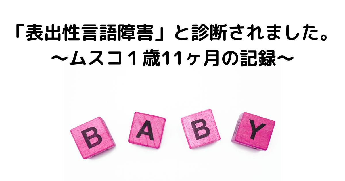 表出性言語障害 １歳11ヶ月のムスコの記録 メレンゲさん ムスコとともに成長するブログ