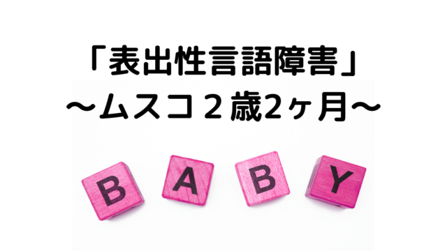 やっぱり語尾の母音しかしゃべらない ２歳１ヶ月 ２ヶ月ムスコの言葉の記録 表出性言語障害 メレンゲさん ムスコとともに成長するブログ